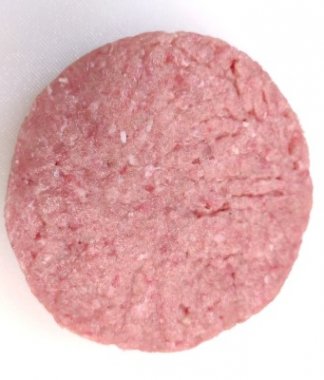 Mallard Duck Burgers