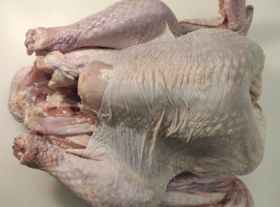 Whole Wild Turkey